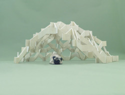 bouettte-deactivated20181217:  Architecture for dogs 