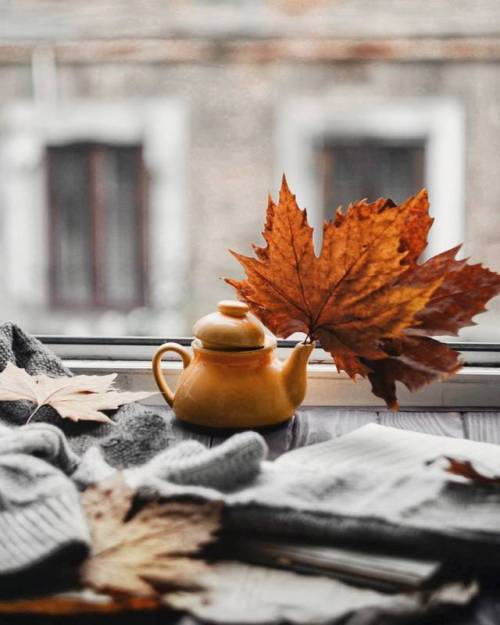 autumncozy:By mel.olka