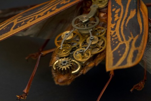 Porn Pics asylum-art:  Intricate Steampunk Insects