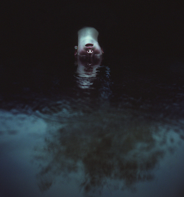 The other side (2014) by Seanen Middleton 