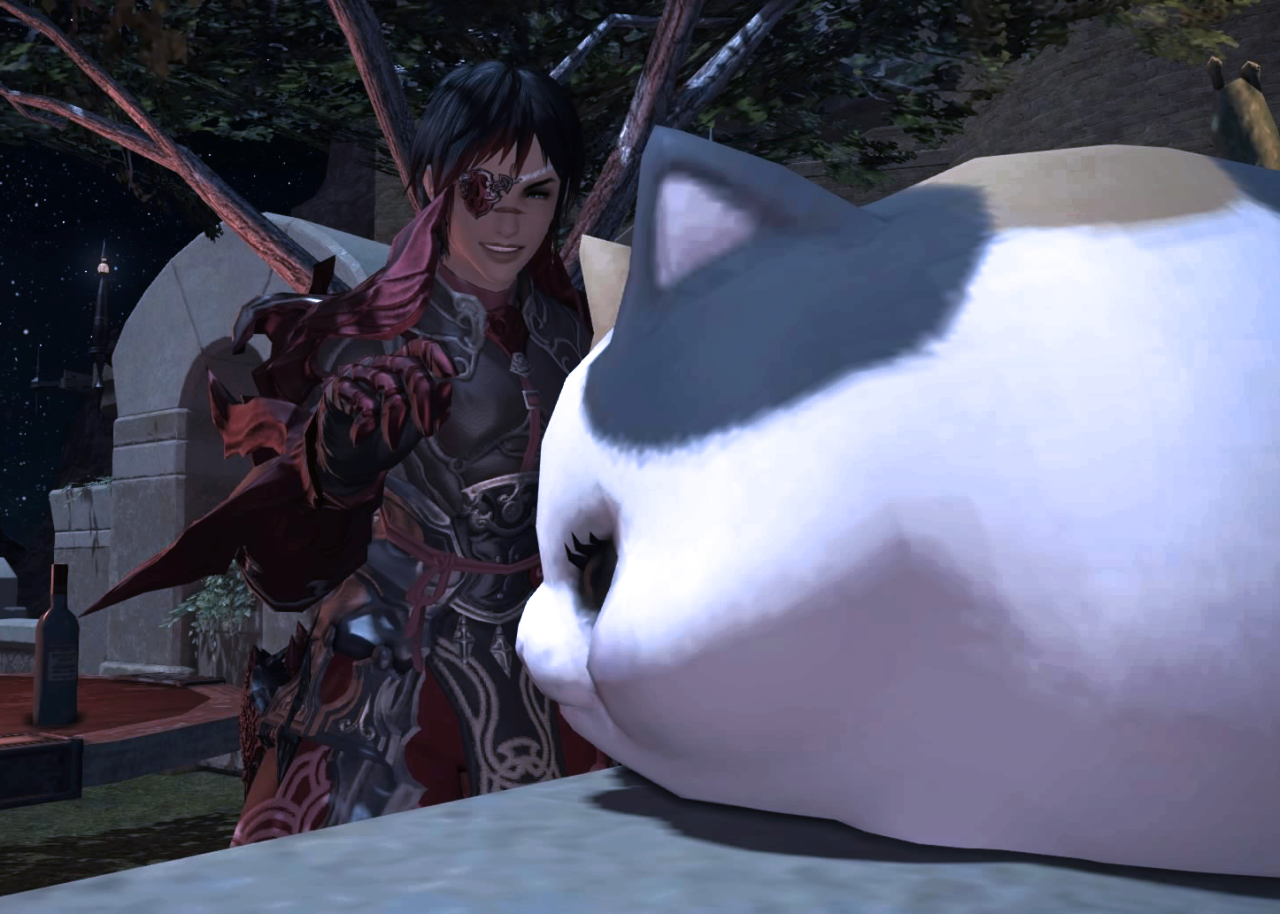 sinuntosea:  #now you know why the fat cat’s on my vermillion team #for sinuntosea