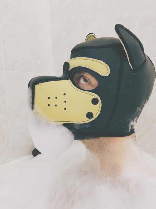 pupbustermackenzie:how do puppies have the most fun by themselves after a long day? bubblebath! duh.