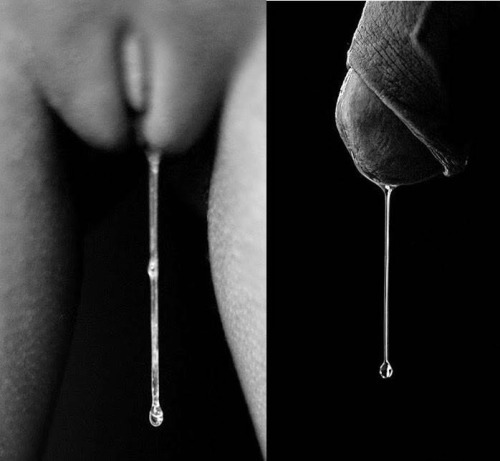sonhodemanso:  Felicidade> Sua mulher amada escorrendo pelo seu amigo que pinga por ela.