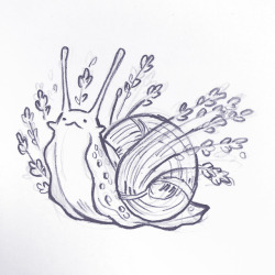 happydorid: lavender snail sketch