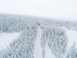 bryandaugherty:  Dreaming of a white Christmas.