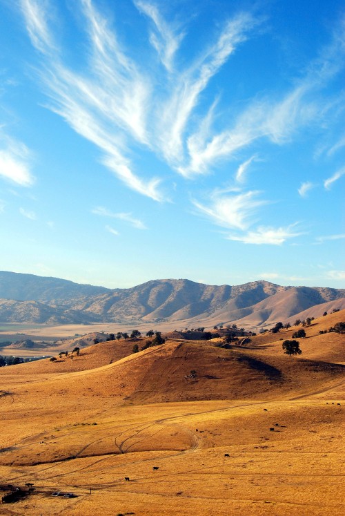 thomas-turner-photography:&ldquo;Tehachapi Valley&rdquo; 5/12/11 Tehachapi Ca, Nikon D40x