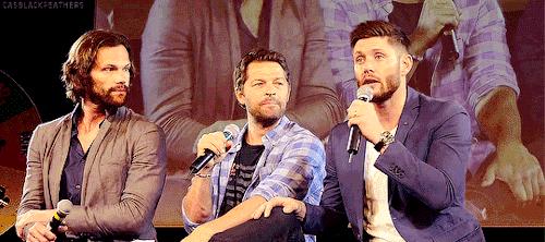 As We Found Out Recently, According To Misha, When You Like Someone You Gently Caress Them. So... There