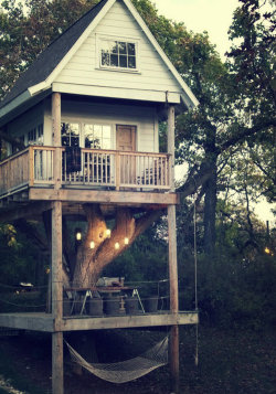 la-biblioteca-de-alice:  http://la-biblioteca-de-alice.tumblr.com/ Awesome tree house ♥ 