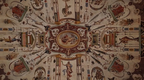hergracesathenaeum:Galleria degli Uffizi // my photography