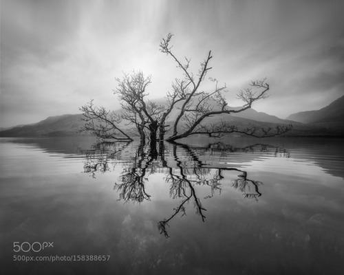 Emergency by AlisterBenn