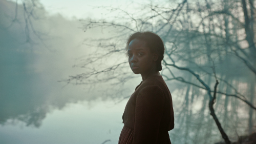 shesnake:The Underground Railroad episode 1 "Chapter 1: Georgia" (2021) dir. Barry Jenkins