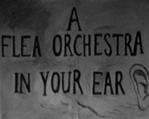 Graeme Cole, {2012} UNIVERSAL EAR: A Flea Orchestra In Your Ear 