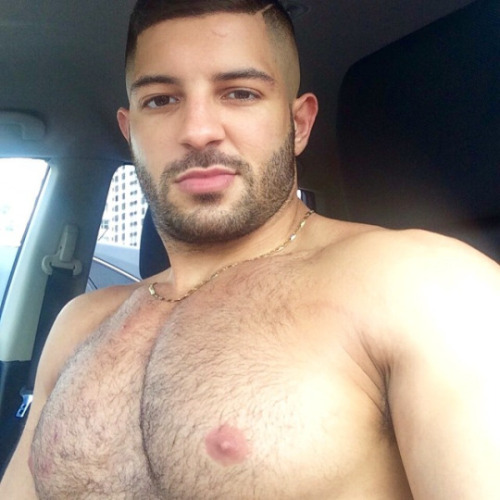 bearzay