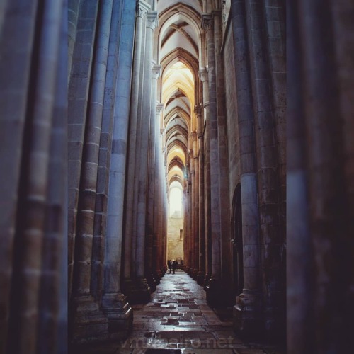 #mosteirodealcobaça #navelateral #gothic #gothicstyle #cisterciense #alcobaça #portugal #sonya350 #v