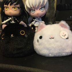 GOOD NEWS EVERYONE  weiss dango has arrived!!!!! unfortunately the neko dango series doesn&rsquo;t have a white cat w/ two blue eyes so I had to improvise&hellip;..BUT ITS STILL WEISS. Now blek dango has company uwu