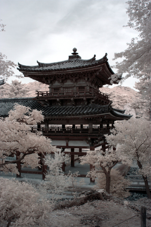 Byodo-in, Kyoto, Japan