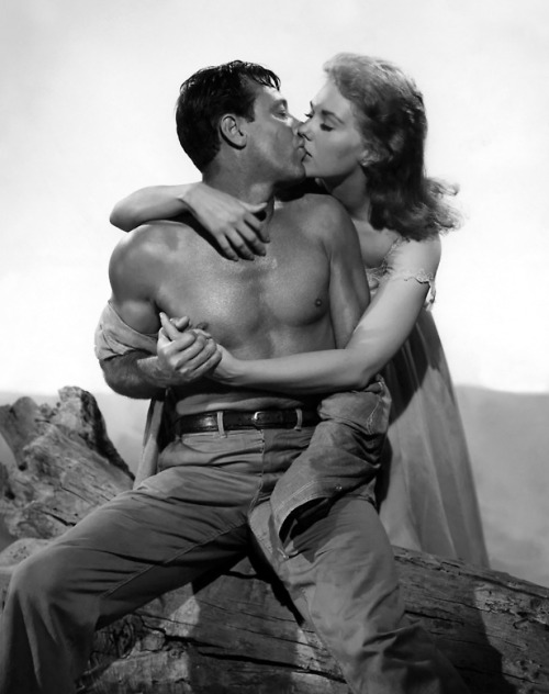 William Holden, Kim Novak / publicity still for Joshua Logan’s Picnic (1955)