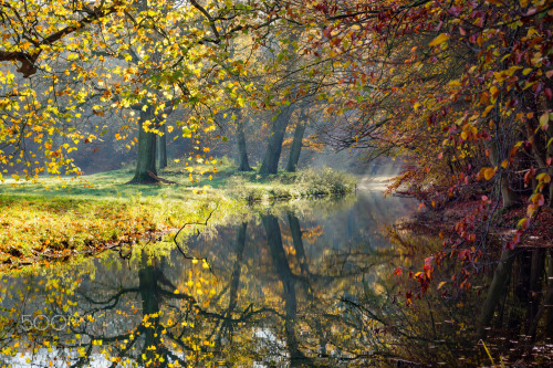 silvaris:    Autumn colors by Michel Van Kooten   