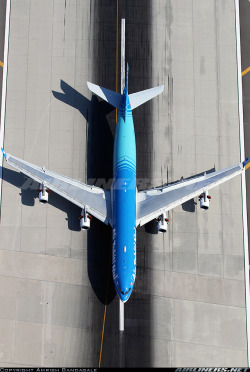 aeronick:  Beautiful A340!