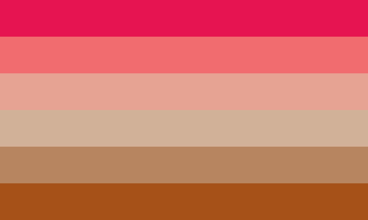 Flag ID: A flag with 6 horizontal stripes. They are bright pink, pink, pink-gray, warm gray, brown-gray, and dark brown. End ID.