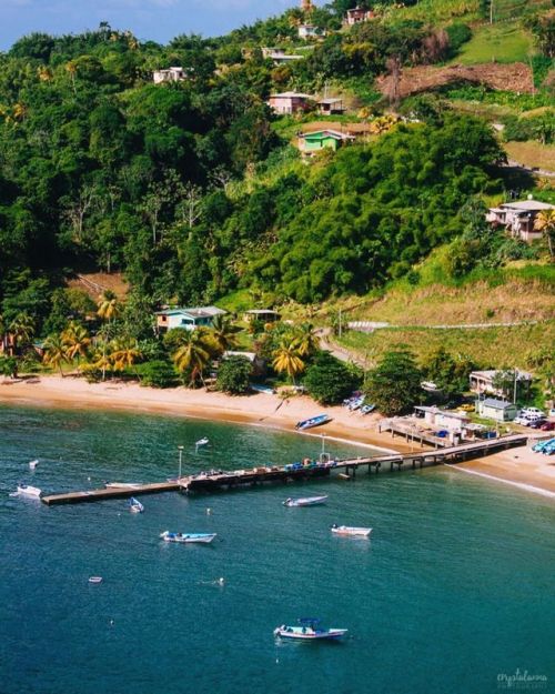 Parlatuvier Bay....#parlatuvier #parlatuvierbay #tobago #visittobago #trinidadandtobago #islandlife 