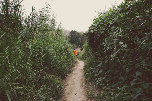justhewayimfeeling:  untitled by coolhandluke on Flickr. 