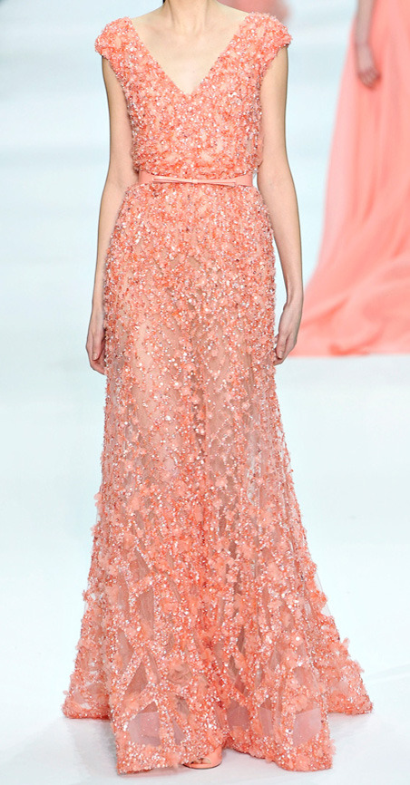  Collection by Elie Saab       