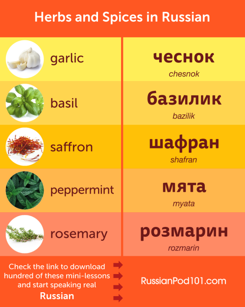 What are the most important Herbs and Spices in your kitchen? Answer in #Russian! PS: Learn Russian 