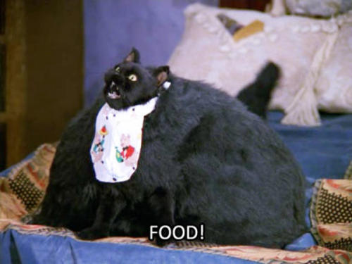 11-15-11:The best of Salem Saberhagen from “Sabrina the Teenage Witch” (1996-2003).
