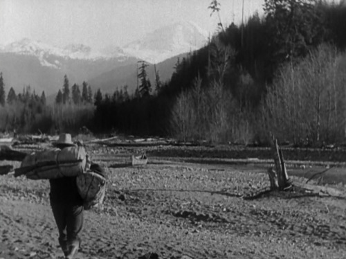 The Call of the Wild・ ・ ・Director: William WellmanDirector of Photography: Charles Rosher