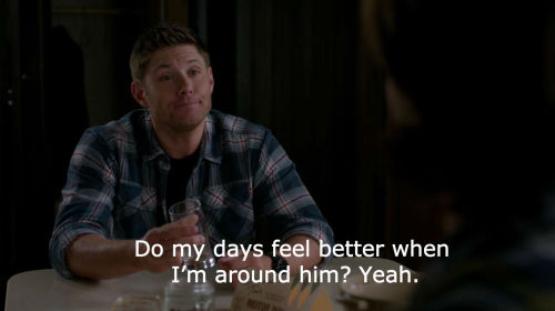 ilove-supernatural:hasnaa-aladdin:mishackles:oh dean. (quote from bojack horseman)Reblogging this co