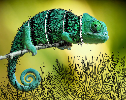 itscolossal: Decorative Costumes Illustrated on Animal Photos by Rohan Sharad Dahotre