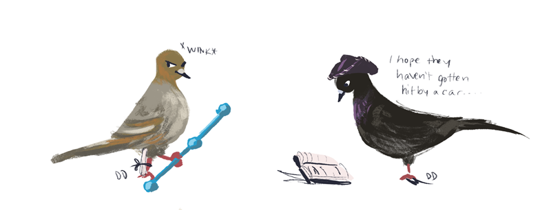 demdoodles:  MUGIWARA ROCK PIGEONS 