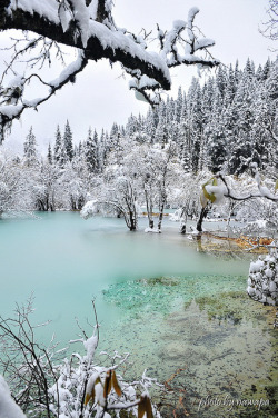 libutron:  Icy Blue | ©nawapa  (Huanglong