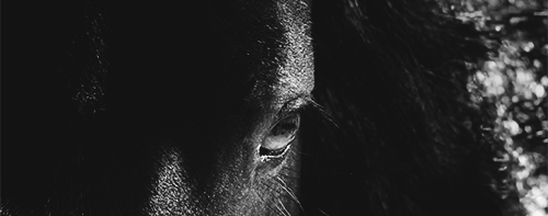 94189a92f7131ce3fdd8bee4c498f96ed1db5056.gif