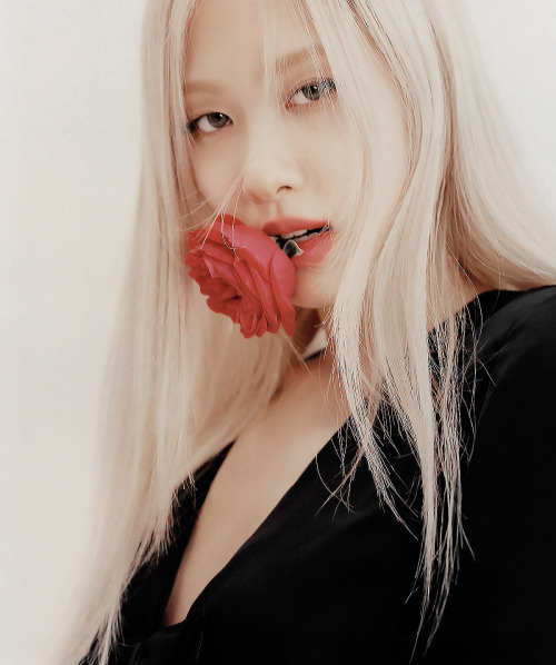 rosé with roses