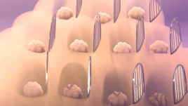 timitimi:  Here are some gifs from our favorite scenes of our thesis film. Feel free