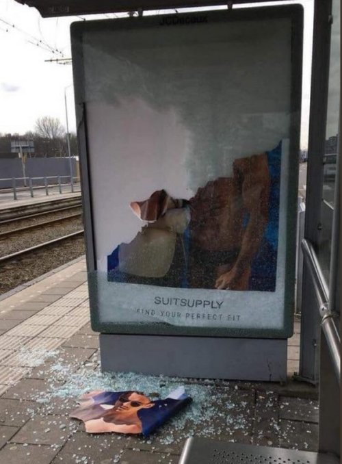 tranquilhawke:gahdamnpunk:THISthis was in the netherlands and there were also two at my local bus st