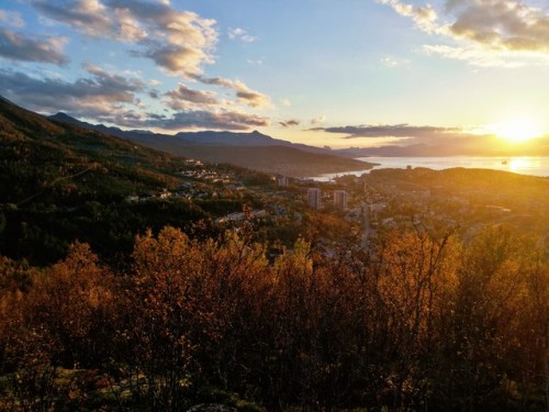 Narvik, NorwayAutumn in Norway, with a million of colors - too bad if you’re colorblind. Absol