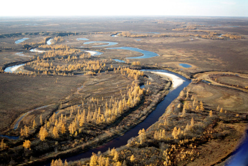 Yamal Peninsula (Russia).  In the Nenets language, &ldquo;Yamal&rdquo; means &ldquo;end of the land&