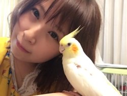 akanemachurida: Bird Twitter 17/07/18 Good morning, Po-chan is so cyute. #TakayanagiBirdFamily #Popuro Churi Twitter 17/07/18 [video] Igai ni Mango!   ＼＼\٩( ‘ω’ )و //／／   It’s the pre-release day!   ＼＼\٩( ‘ω’ )و //／／