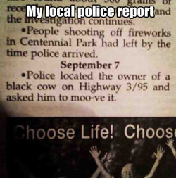 srsfunny:  My local police report…http://srsfunny.tumblr.com/