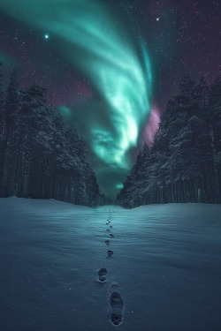 alecsgrg:  Path to tranquility | ( by Juuso
