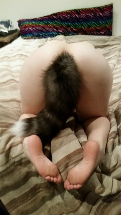 snaiis:  ;) daddy taking sexy pictures after a good time.    Tail from @thespankacademy.  