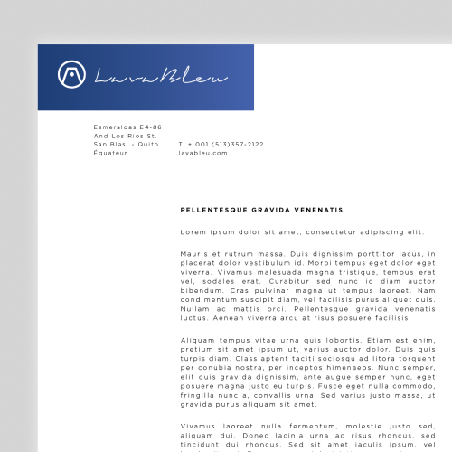 Lava Bleu - Branding