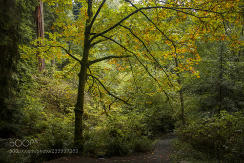 Embracing Autumn by JimHardy