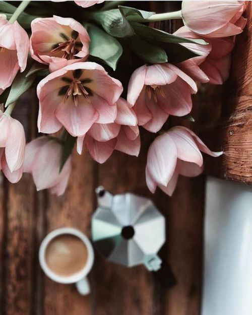 cafeinevitable:Spring Vibes