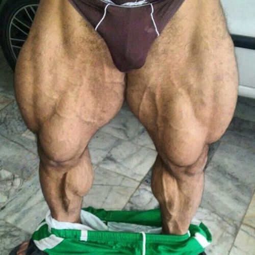 justmuscle77:  I love a hot nerd type. Pointing major north right now. Arash Eskandari is beautiful! 