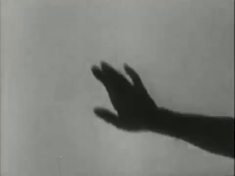 fuckingfreud:  maya deren &amp; talley beatty, {1945} a study in choreography