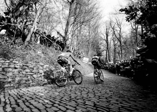 someoneisalwaysfaster: muur…